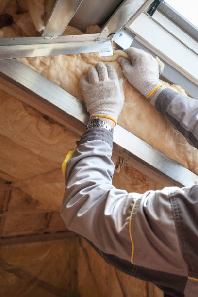 Best Best Insulation Companies  in Tustin, CA