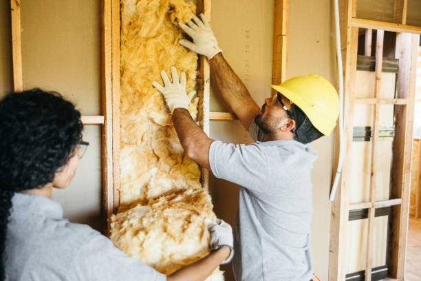 Best Insulation Repair Services  in Tustin, CA